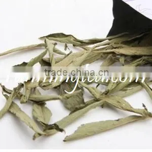 Stevia Sweet Leaf thumbnail-1