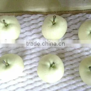 Fresh Fruit Emerald Pear With Good Price for Exporting thumbnail-6