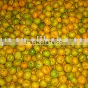 Honey Mandarin thumbnail-1