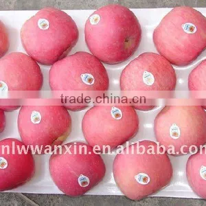 80-88-100 Fresh Fuji Apple Supply thumbnail-1