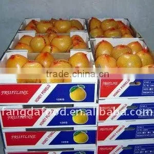 New China Fresh Pomelo Fruit thumbnail-1