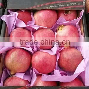 Packing / Color/Sizes/ Container of Fresh Pomegranates thumbnail-1