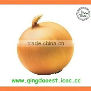 Export China Fresh New Crop Red and Yellow Onion thumbnail-4