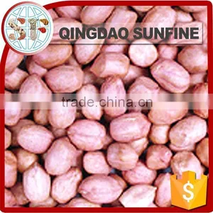 Organic Peanuts Kernel Protein thumbnail-2