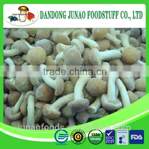 Whole Shape Fresh Frozen IQF Lingzhi Mushroom thumbnail-1
