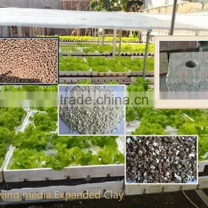 Popular Hot Size 1.5" Seed Growing Rockwool Cubes thumbnail-2