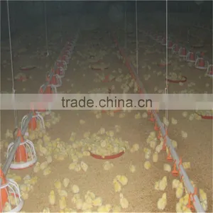 Automatic Chick House Design thumbnail-2