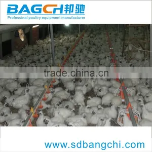 Complete Equipments for Poultry Farms thumbnail-2