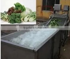 Vegetable Washing Machine thumbnail-1