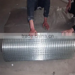 Express 2016 New Products Galvanized Welded Wire Mesh Factory(iso9001 Factory)/Welded Wire Mesh thumbnail-5