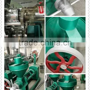 High Oil Yield Small Cold Press Oil Machine thumbnail-2