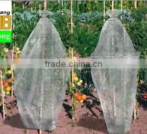 PE Garden UseTomato Tube Green House Packing in Bag thumbnail-4