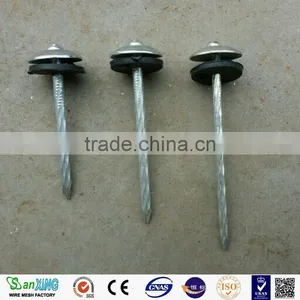 Antirust/Strong/electro Galvanized Umbrella Head Roofing Nails With Twist Shank thumbnail-1