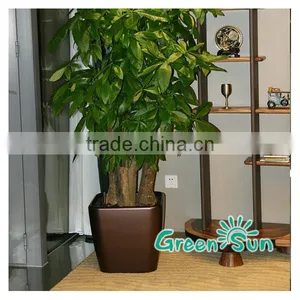 Customized Garden Decorating Plastic Plant Pots for Sale thumbnail-1