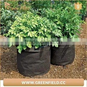 Available Non Woven Hanging Planter Grow Bag China Supplier thumbnail-1