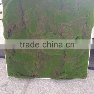 Artificial Moss Turf Grass for Wall Decoration thumbnail-1