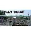 10KW Crazy Mouse Roller Coaster and Amusement Parks Roller Coasters for 8 Persons thumbnail-1
