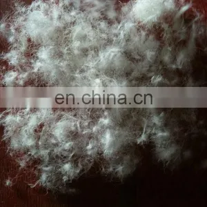 80% Washed White Duck Down Feather thumbnail-1