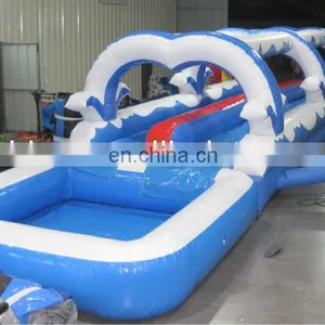 Inflatable PVC Water Slide, Commercial Inflatable Slide,china Inflatables WS052 thumbnail-1