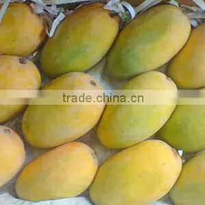 Mango thumbnail-2