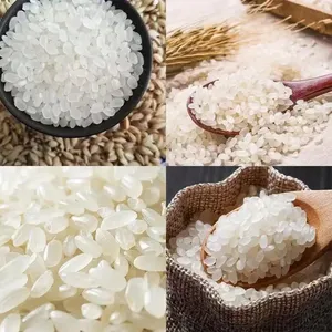 Newly Designed Artificial Rice Production Line Customized Factory Food Fortification Rice Machine thumbnail-3