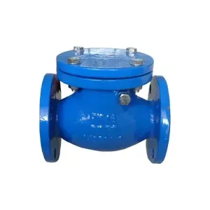 High Performance Resilient Seat Swing Check Valve Manufacturer thumbnail-1
