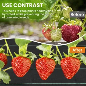 Heavy Duty Weed Control Fabric Ground Cover for Agriculture & Landscaping thumbnail-5