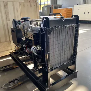 Water Cooled Ricarido 50kw 62.5kva Diesel Generator With 50HZ/60HZ Open Frame thumbnail-3