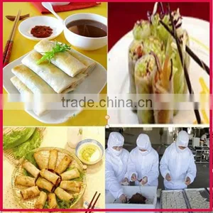 Frozen Spring Roll Pastry Sheet thumbnail-4