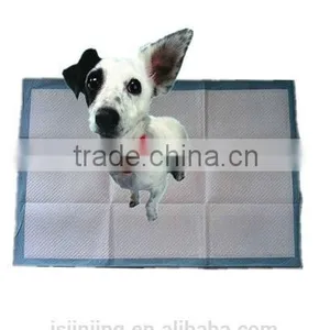 Puppy Training Pad thumbnail-1