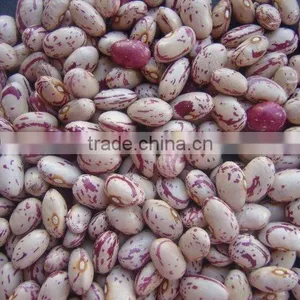 Bean thumbnail-1