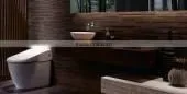 Toilet Chair World Number One High Quality Performance Relax thumbnail-1