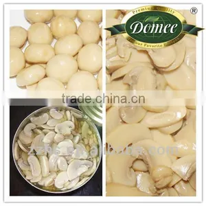Mushroom From Factory thumbnail-1