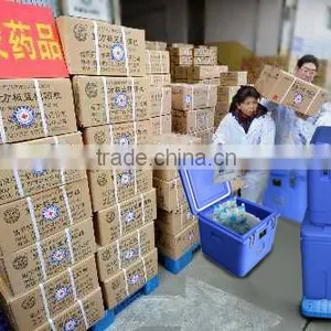 Mini Medical Cooler Box Car Cooler Box Vaccine Cooler Box thumbnail-2