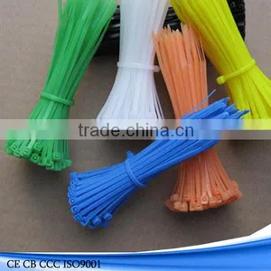 Nylon Cable Tie Holder, Cable Tie With Label White and Black Cable Tie thumbnail-1
