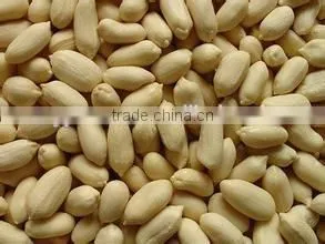 Organic Peanuts for Export thumbnail-1