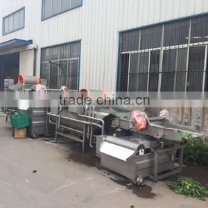 Fruit and Vegetable Processing Line thumbnail-4
