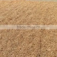 Shaxian Yujian Sports Co., Ltd. company overview - view 1 thumbnail