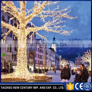 Outdoor Waterproof Holiday Wedding Decorative Led Lights thumbnail-3