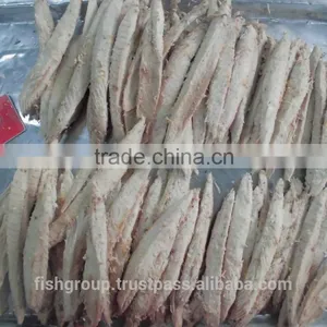 PRECOOKED BONITO LOINS thumbnail-4