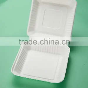 HL-99 9"x9" Japanese Sushi Disposable Food Packaging Box thumbnail-2