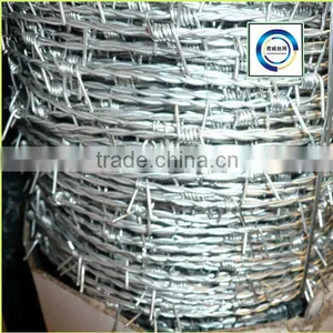 Stainless Steel Hot Dipped Galvanized Razor Barbed Wire Factory) thumbnail-1