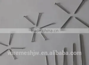 Umbrella Head Plain Shank Roofing Nails/Common Iron Wire Nail thumbnail-1