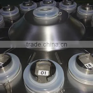 10 Head Multihead Weigher for Frozen Pasta Products thumbnail-5