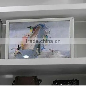 Display Snap Frame thumbnail-1