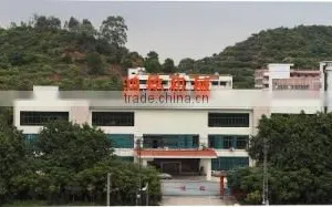 Dongguan Hongming Machinery Co., Ltd. company overview - view 1 thumbnail