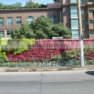 Free Shipping Vertical Garden Green Wall With Self Draining thumbnail-4