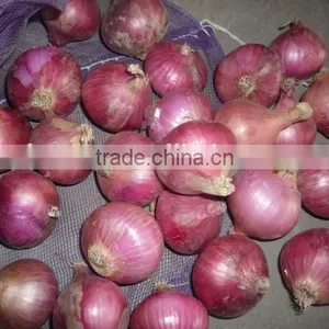 2015 Fresh Onion Specification in Cheaper Price From Shandong thumbnail-1
