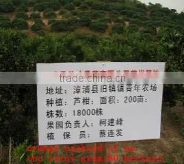 Zhangpu Yicai Fruit & Vegetable Co., Ltd. company overview - view 1 thumbnail
