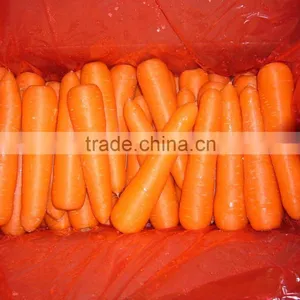 Chinese Fresh Carrot 9kg Carton thumbnail-2